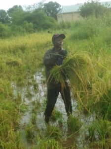 WhatsApp Image 2023-10-20 at 12.38.57_5af9c0e2